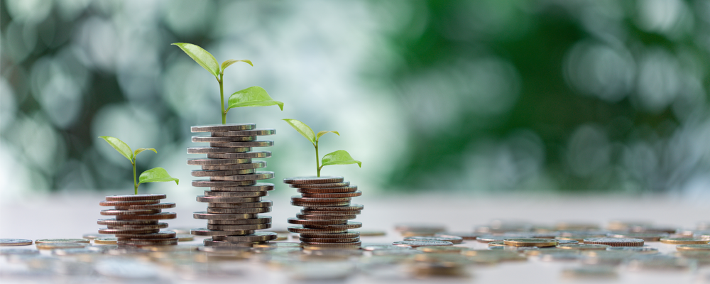 Photograph of of money and seedlings